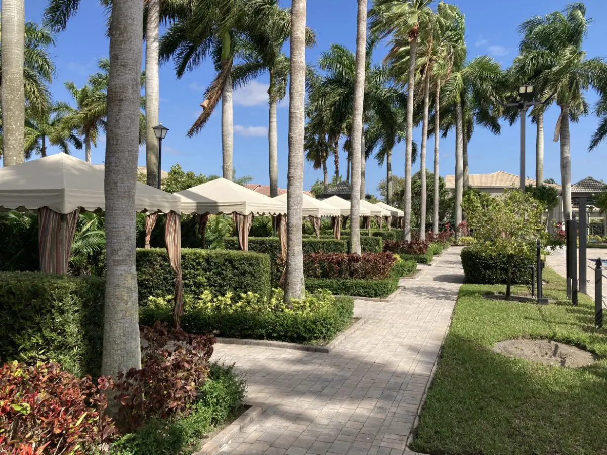 A path with umbrellas and palm trees in the background.